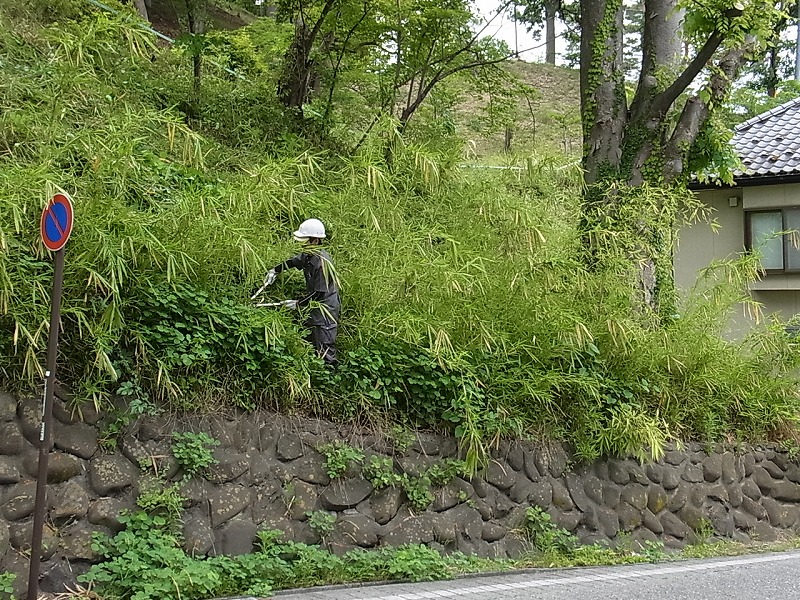 中村庭園が求めている人