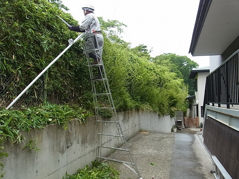 中村庭園が求めている人